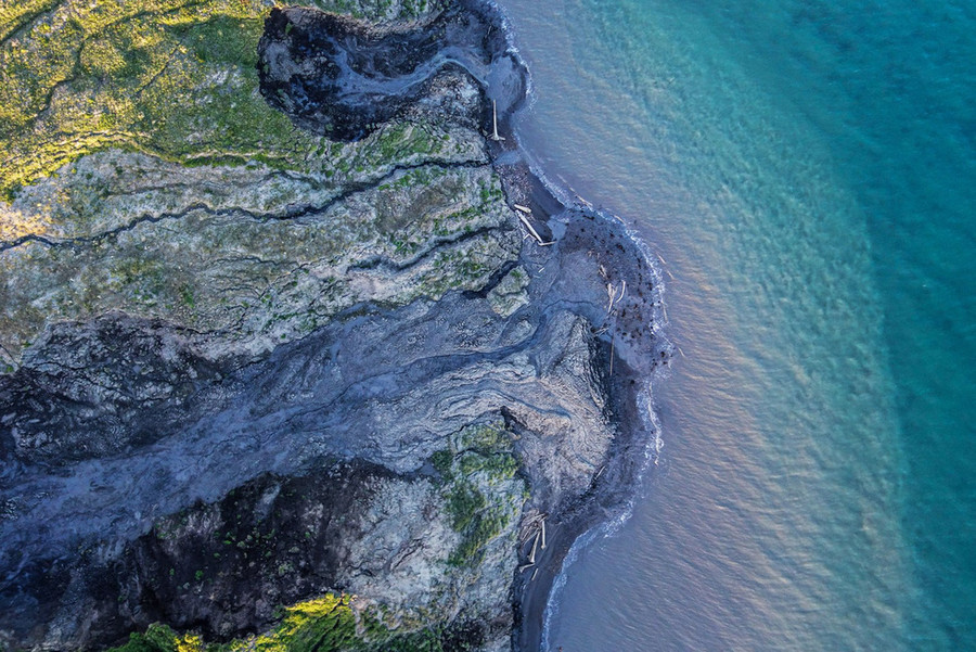 Cỏ dại ở Bắc Cực nhìn từ trên cao - Ảnh: NATIONAL GEOGRAPHIC SOCIETY