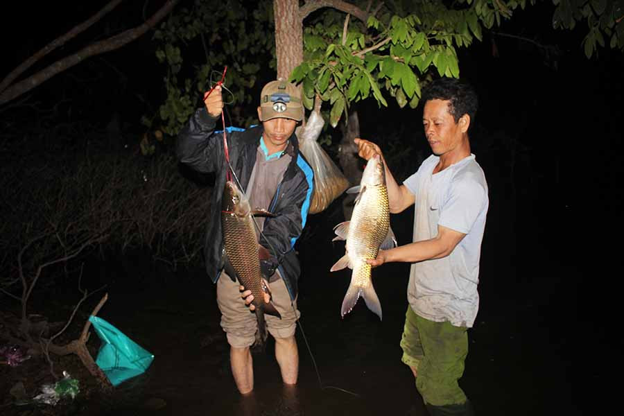  2 con cá trôi câu được ở hồ Ia Mlah (huyện Krông Pa). Ảnh: H.S