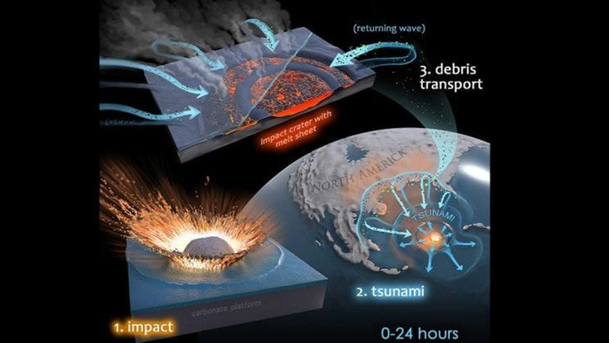 Ảnh đồ họa mô tả cách sóng thần biến miệng hố va chạm thành chiếc tổ mới cho họ nhà vi khuẩn, để rồi khiến chúng trối dậy mạnh mẽ hơn xưa, tràn lan khắp trái đất - ảnh: Victor Leshyk Ảnh đồ họa mô tả cách sóng thần biến miệng hố va chạm thành chiếc tổ mới cho họ nhà vi khuẩn, để rồi khiến chúng trối dậy mạnh mẽ hơn xưa, tràn lan khắp trái đất - ảnh: Victor Leshyk