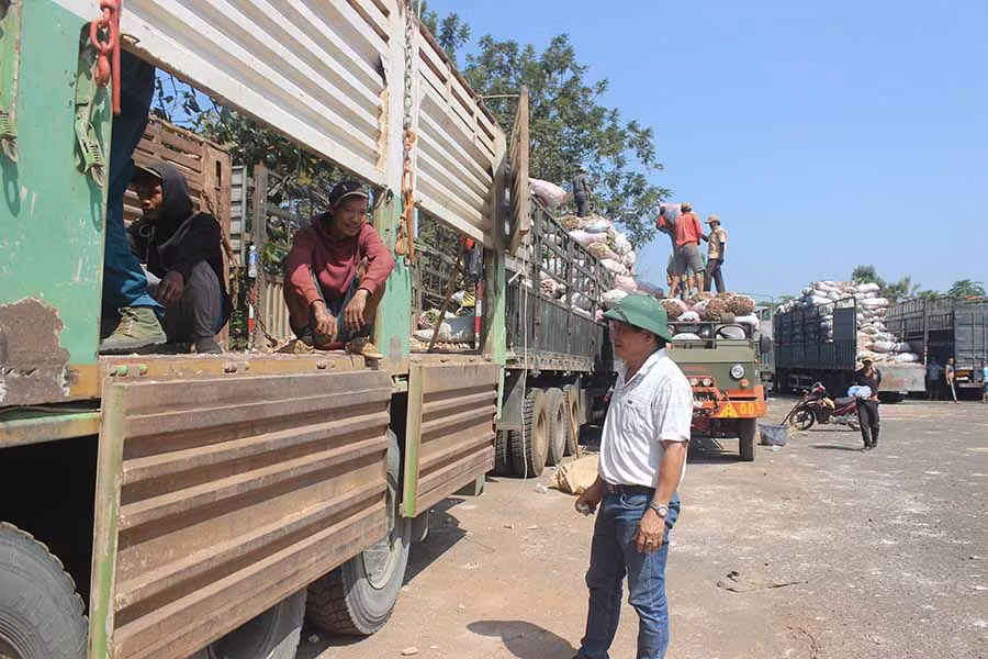  Ông Bùi Thiên Ấn-Giám đốc Công ty TNHH một thành viên Minh Mẫn điều hành việc bốc dỡ hàng hóa tại khu vực tập kết hàng nông sản Bến xe Cửa khẩu Quốc tế Lệ Thanh. Ảnh: S.C