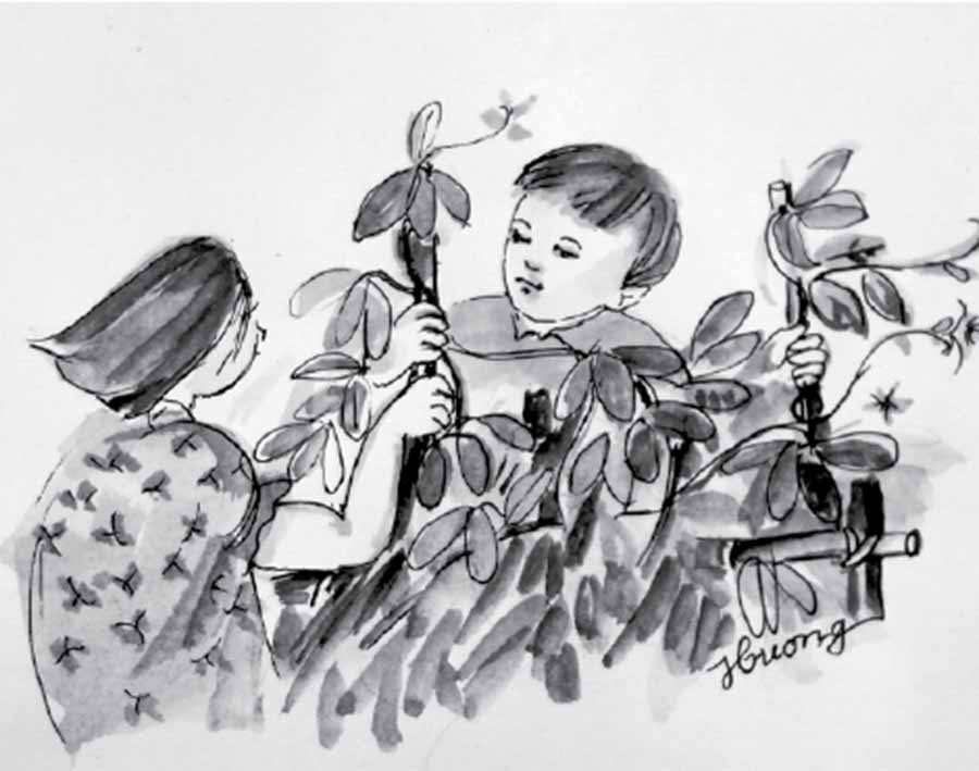  Minh họa: Kim Hương