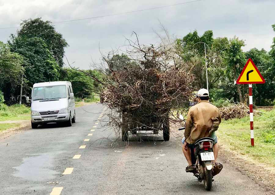 Ảnh: Trần Dung  Ảnh: Trần Dung