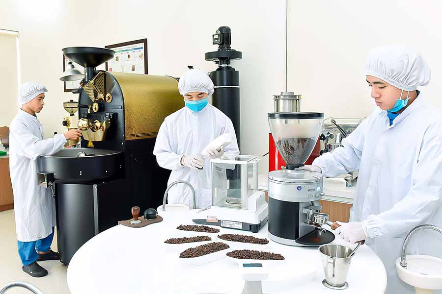  Công ty TNHH Vĩnh Hiệp là doanh nghiệp đi đầu trong chế biến cà phê ở Gia Lai. Ảnh: ĐỨC THỤY