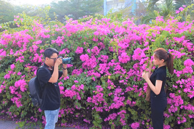  Nguyễn Như Quỳnh 