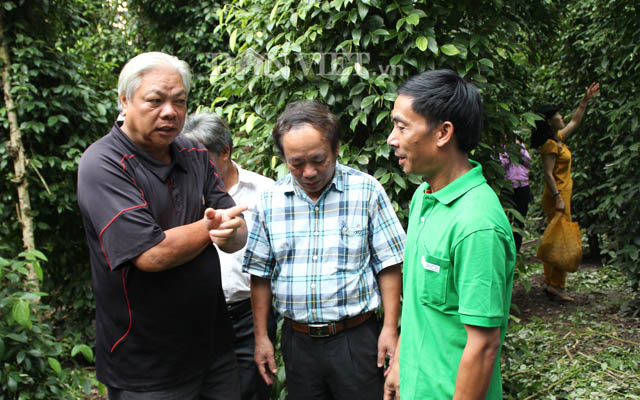 Ngành công nghiệp gia vị thế giới đã có những phản ứng mạnh mẽ vì đây là ngành tạo ra sinh kế cho nông dân ở nhiều nước đang phát triển.