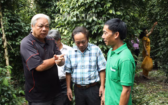 Ngành công nghiệp gia vị thế giới đã có những phản ứng mạnh mẽ vì đây là ngành tạo ra sinh kế cho nông dân ở nhiều nước đang phát triển.