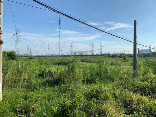 Bên trong dự án vẫn là bãi đất hoang, cây cỏ mọc um tùm ĐÌNH SƠN