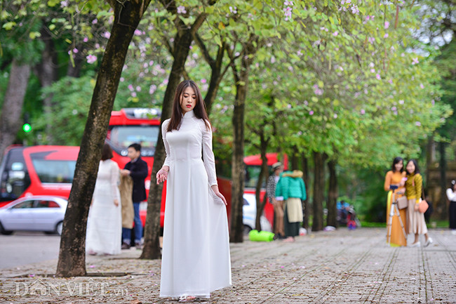 Các thiếu nữ Hà Nội thường tranh thủ khoảng thời gian ngắn ngủi khi hoa ban nở rực rỡ để chụp những bức hình lung linh trong tà áo dài, lưu giữ khoảnh khắc đẹp nhất mùa hoa. Các thiếu nữ Hà Nội thường tranh thủ khoảng thời gian ngắn ngủi khi hoa ban nở rực rỡ để chụp những bức hình lung linh trong tà áo dài, lưu giữ khoảnh khắc đẹp nhất mùa hoa.