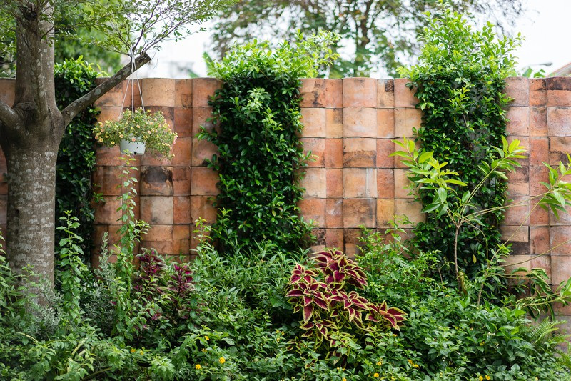 Nhà tọa lạc trên ô đất rộng 260m2 với dãy tường rào bằng gạch bao quanh, đảm bảo an toàn cho công trình.