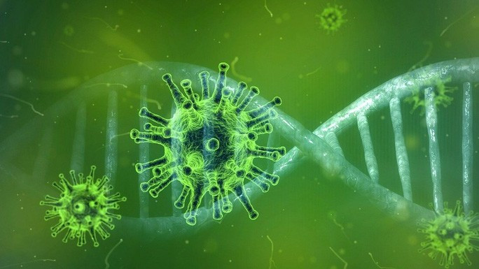  Các nhà khoa học ở Brazil đã phát hiện ra một loại virus hoàn toàn mới, sở hữu gien không thể xác định và chưa được mô tả trong bất kỳ tài liệu nào. Ảnh: Pixabay