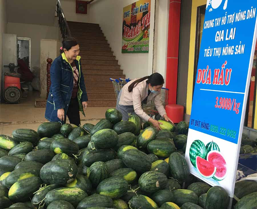  Khách hàng mua dưa hấu tại Siêu thị Co.op Mart Pleiku để hỗ trợ nông dân. Ảnh: V.T