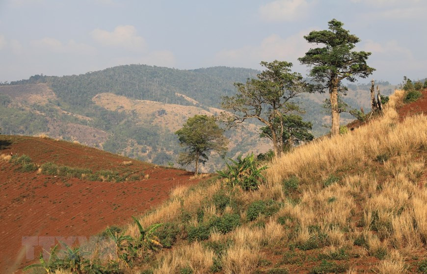 Vẻ đẹp hùng vĩ của núi rừng Gia Lai. (Ảnh: Thành Đạt/TTXVN) Vẻ đẹp hùng vĩ của núi rừng Gia Lai. (Ảnh: Thành Đạt/TTXVN)