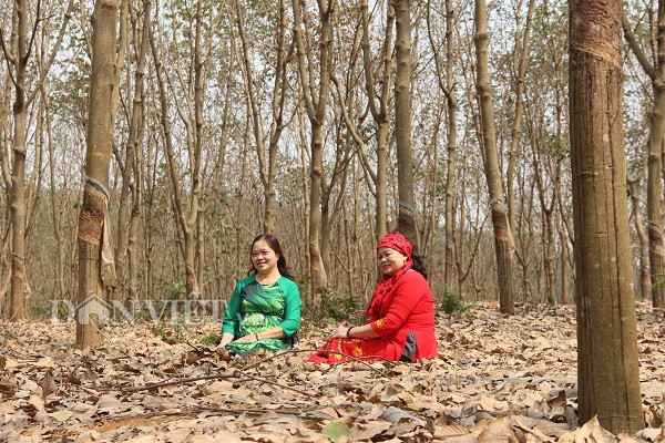 Nhiều du khách còn thuê cả áo dài chụp ảnh lưu lại khoảnh khắc đẹp trong những ngày đầu năm mới.