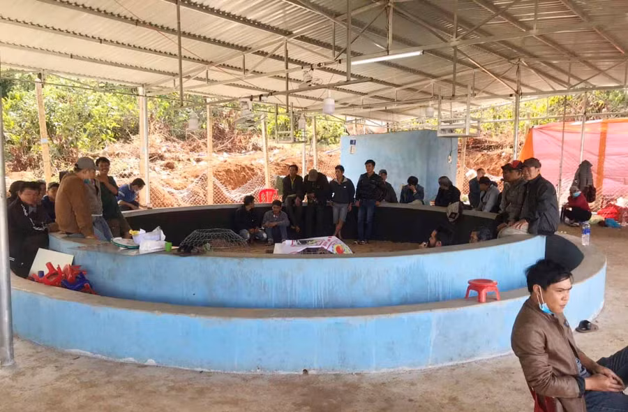 Hàng chục đối tượng bị bắt giữ khi đang cá cược. Ảnh: Văn Ngọc