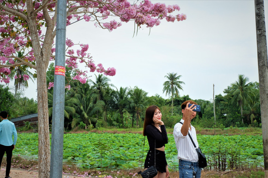 Tranh thủ ngày cuối tuần nhiều gia đình và giới trẻ miền Tây check-in tại đây