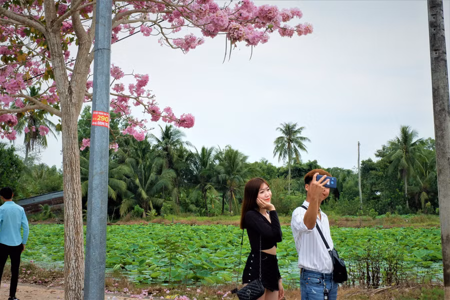 Tranh thủ ngày cuối tuần nhiều gia đình và giới trẻ miền Tây check-in tại đây