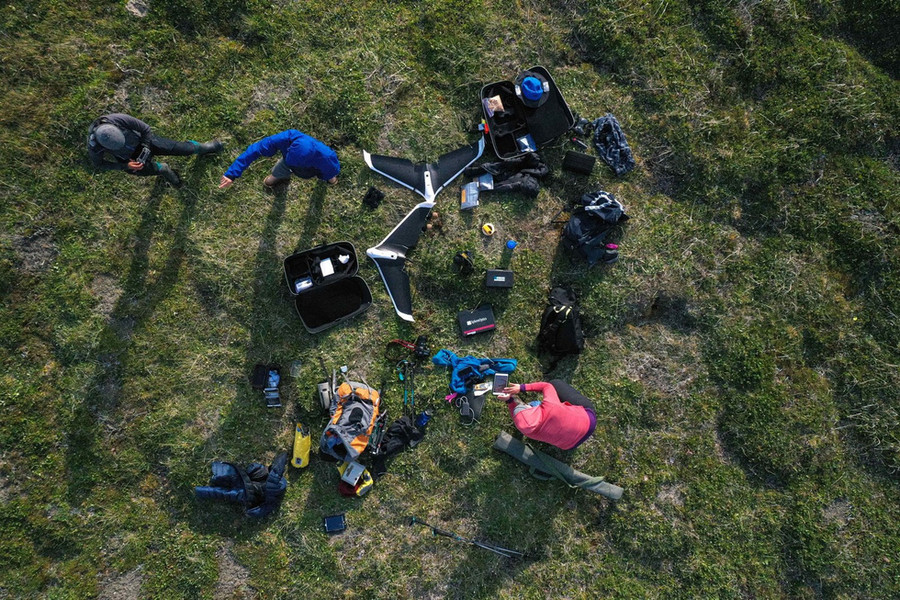 Nhóm các nhà khoa học nghiên cứu cỏ đang mọc nhiều hơn ở Bắc Cực - Ảnh: NATIONAL GEOGRAPHIC SOCIETY
