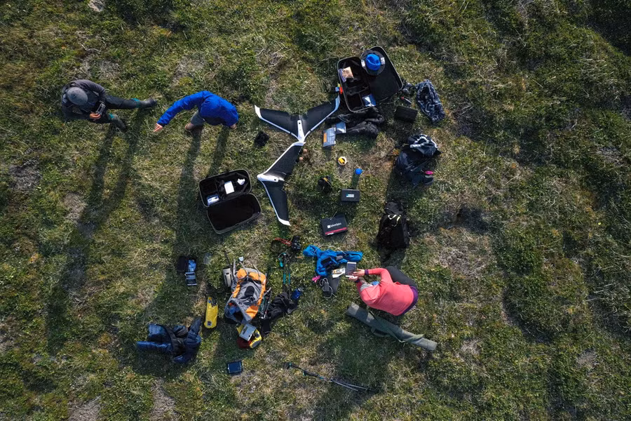 Nhóm các nhà khoa học nghiên cứu cỏ đang mọc nhiều hơn ở Bắc Cực - Ảnh: NATIONAL GEOGRAPHIC SOCIETY