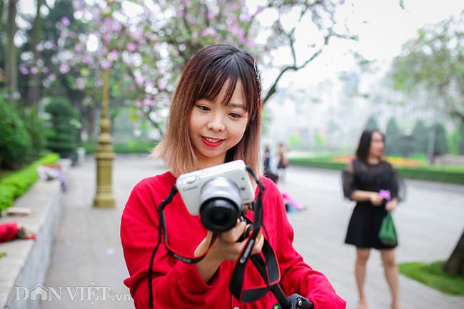 Đến chụp ảnh hoa ban ở phố Bắc Sơn, em Kiều Thanh Thùy (Hà Đông, Hà Nội) cho biết, đây là lần thứ 2 em đến đây chụp ảnh. "Lần đầu đến đây hồi tháng 2 năm ngoái, em đã rất thích con đường hoa ban này. Thật đặc biệt khi một con đường ở Hà Nội lại ngập trong sắc hoa ban Tây Bắc", Thùy nói thêm. Đến chụp ảnh hoa ban ở phố Bắc Sơn, em Kiều Thanh Thùy (Hà Đông, Hà Nội) cho biết, đây là lần thứ 2 em đến đây chụp ảnh.