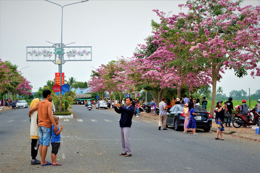 Mỗi ngày có đến hàng trăm lượt du khách trong và ngoài tỉnh ghé thăm con đường màu hồng này