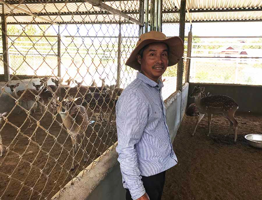  Ông Bùi Quang Dịu bên trang trại nuôi hươu sao được vệ sinh sạch sẽ. Ảnh: N.D