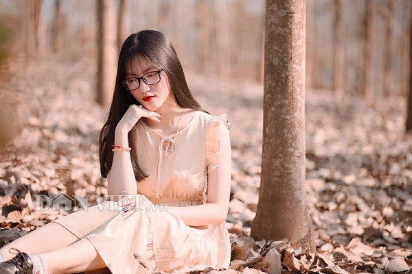  Dưới ánh nắng lấp lo sau những cánh rừng cao su đang mùa thay lá, nhiều giới trẻ đã kéo nhau về chụp ảnh check-in lưu giữ những khoảnh khắc đẹp.