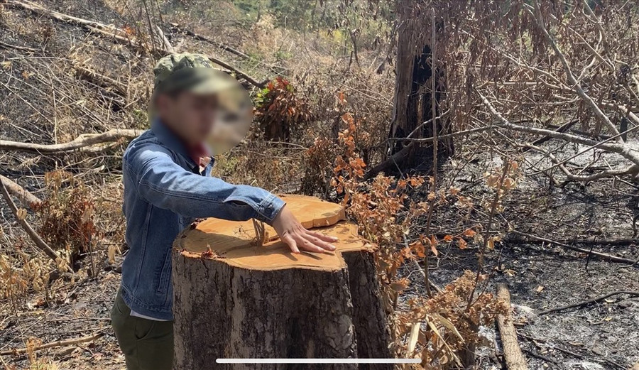  Liên tiếp để mất rừng. nhiều ý kiến đề nghị thu hồi diện tích rừng mà đơn vị quản lý đang bảo vệ. Ảnh: HL