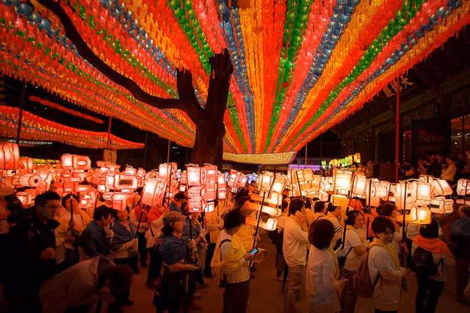  Không khí náo nhiệt của lễ hội đèn lồng hoa sen ở đền Jogyesa