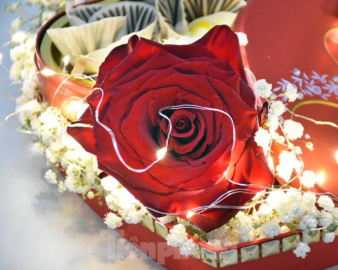  Điểm xuyết vào đó là những bông hồng đỏ rực rỡ và đặc biệt là những sợi đèn led tóc, có thể thắp sáng liên tục 2 ngày nhờ 3 viên pin nhỏ, khiến cả hộp quà sang rực lấp lánh trong đêm tình nhân lãng mạn.