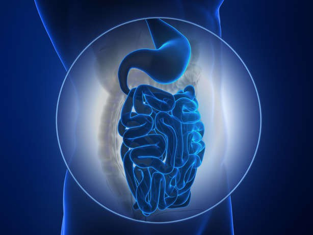 Các vấn đề tiêu hóa: Khi hệ tiêu hóa bị viêm, người mắc bệnh lupus có thể gặp các triệu chứng như ợ nóng hay trào ngược axit dạ dày. Các vấn đề tiêu hóa: Khi hệ tiêu hóa bị viêm, người mắc bệnh lupus có thể gặp các triệu chứng như ợ nóng hay trào ngược axit dạ dày.