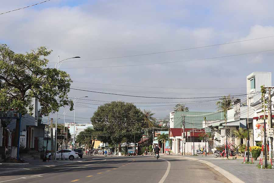 Phần lớn các tuyến đường nội thị, thị xã An Khê được trồng cây xanh. Ảnh: Ngọc Minh