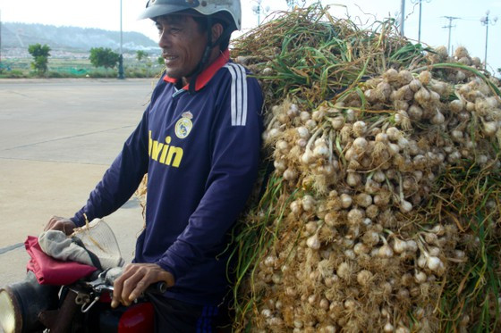  Ảnh: NGUYỄN TRANG