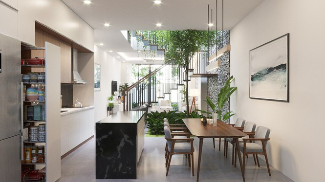 Cây xanh phát triển tốt nhờ ánh sáng mặt trời chiếu qua.