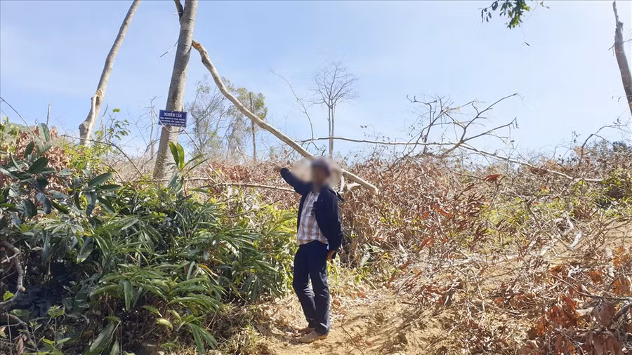 Phía sau những cánh rừng bị phá trụi là một tấm bảng nghiêm cấm phá rừng.