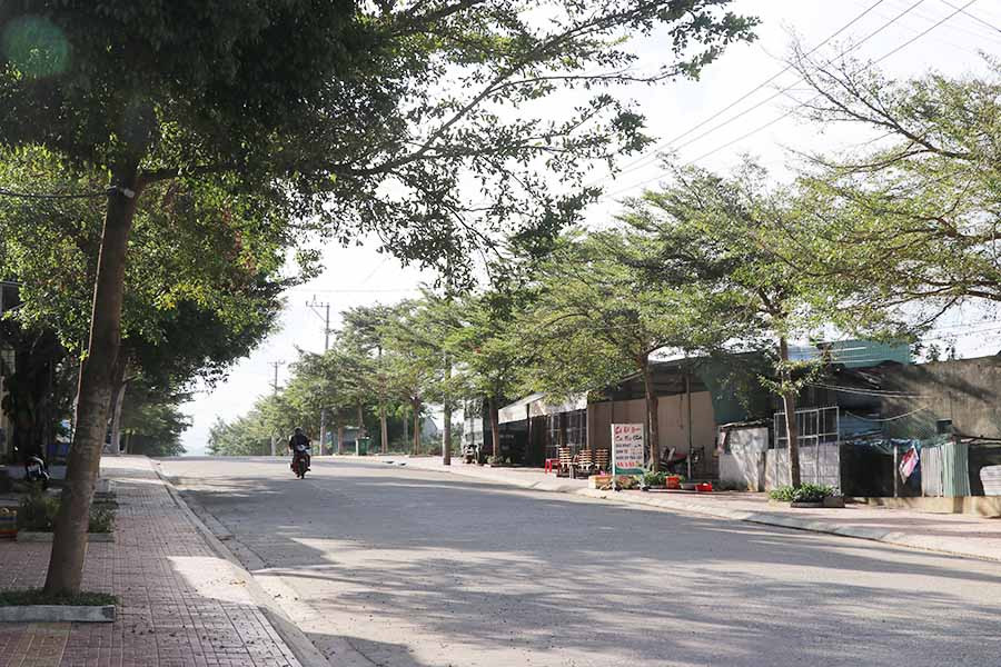 Hai bên đường Bùi Thị Xuân (thị xã An Khê) được trồng cây bàng lá nhỏ đã lên xanh tốt. Ảnh N.M