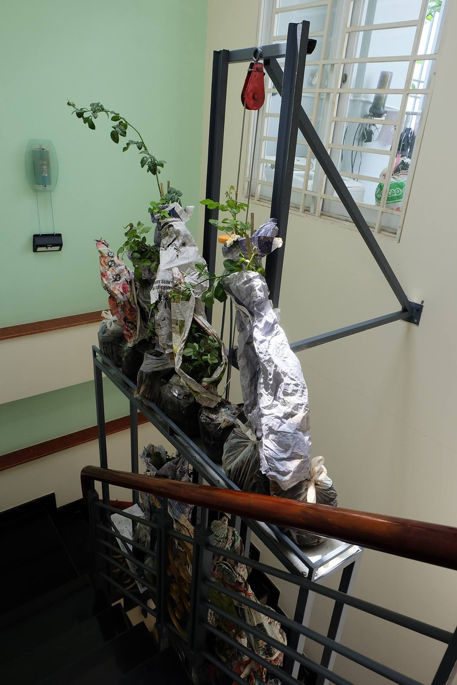  Thang vận chuyển trong nhà giúp chị Thuỳ tiết kiệm khá nhiều thời gian, công sức làm vườn.