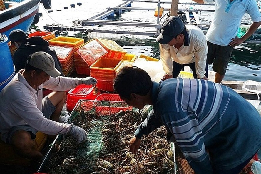 Ảnh: Báo Công thương