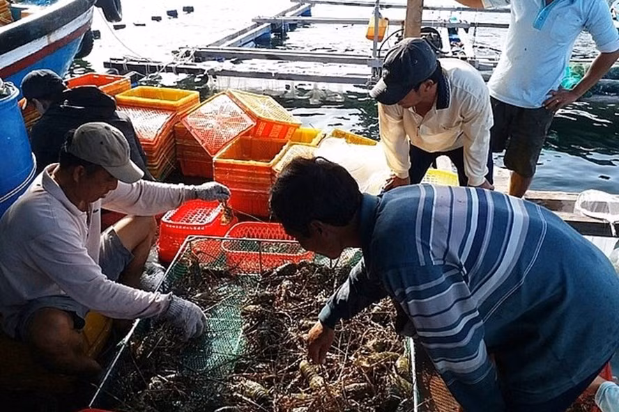 Ảnh: Báo Công thương