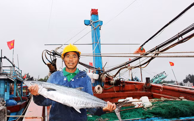  Anh Bùi Còng với sản phẩm cá thu mới đánh bắt.