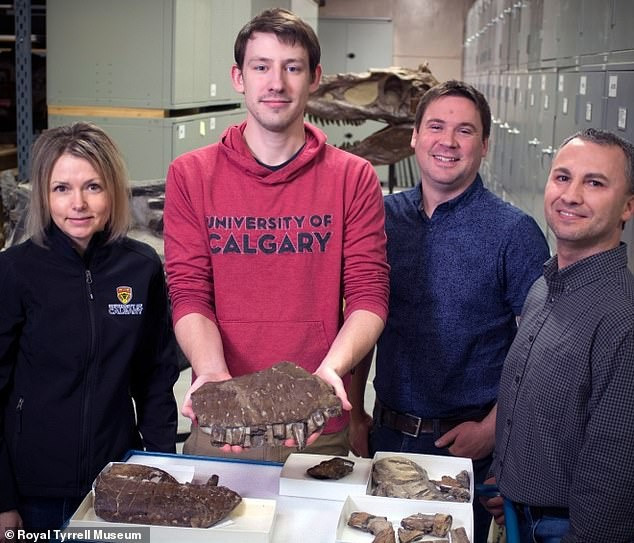 Các nhà cổ sinh vật bên mẫu vật mới phát hiện - ảnh: Bảo tàng Cổ sinh vật học Hoàng gia Tyrrell Các nhà cổ sinh vật bên mẫu vật mới phát hiện - ảnh: Bảo tàng Cổ sinh vật học Hoàng gia Tyrrell