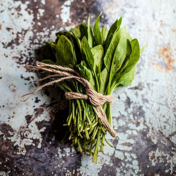  Rau bina. Ảnh: CNA.