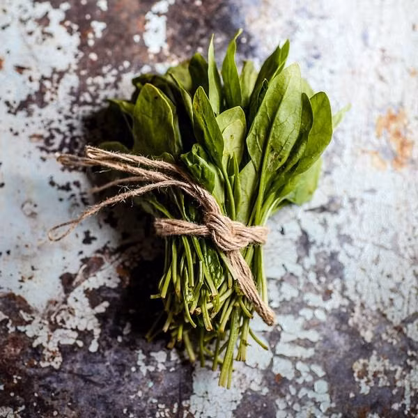  Rau bina. Ảnh: CNA.