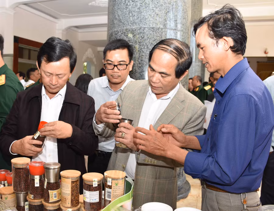 Bí thư Tỉnh ủy Dương Văn Trang (bìa trái) và Chủ tịch UBND tỉnh Võ Ngọc Thành (giữa) xem sản phẩm hồ tiêu chế biến bằng phương pháp sấy hồng ngoại của anh Sơn. Ảnh: Lê Nam