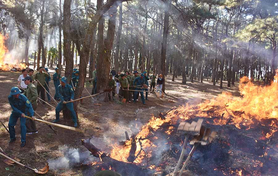  Diễn tập phòng cháy, chữa cháy rừng. Ảnh: N.S