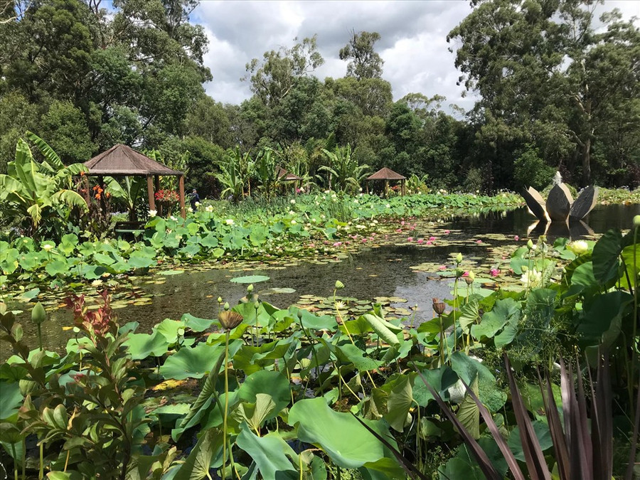 Những chòi canh được dựng xen kẽ để phục vụ du khách Những chòi canh được dựng xen kẽ để phục vụ du khách