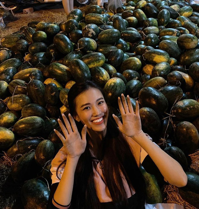Á hậu Kim Duyên tham gia chiến dịch 'giải cứu dưa hấu' giúp bà con nông dân tại quê nhà ở Cần Thơ. Á hậu Kim Duyên tham gia chiến dịch 'giải cứu dưa hấu' giúp bà con nông dân tại quê nhà ở Cần Thơ.