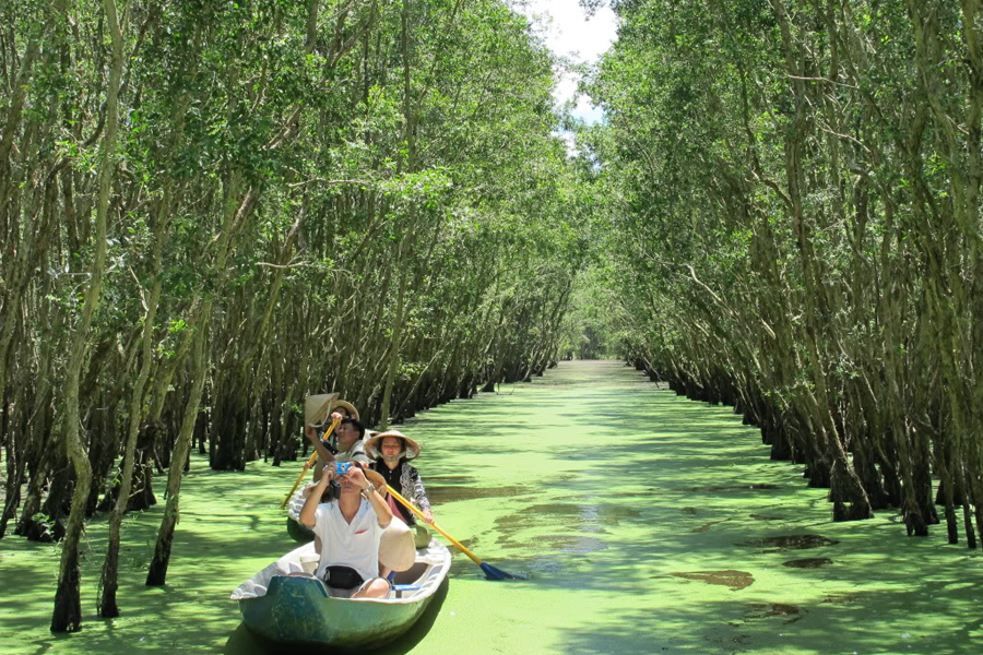 Du lịch rừng tràm Trà Sư. Ảnh: K.N.B Du lịch rừng tràm Trà Sư. Ảnh: K.N.B