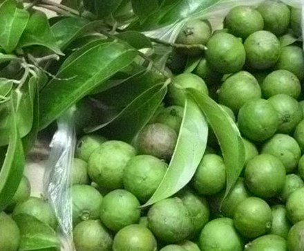 Sấu mang nhiều lợi ích cho các chị em phụ nữ. Sấu mang nhiều lợi ích cho các chị em phụ nữ.
