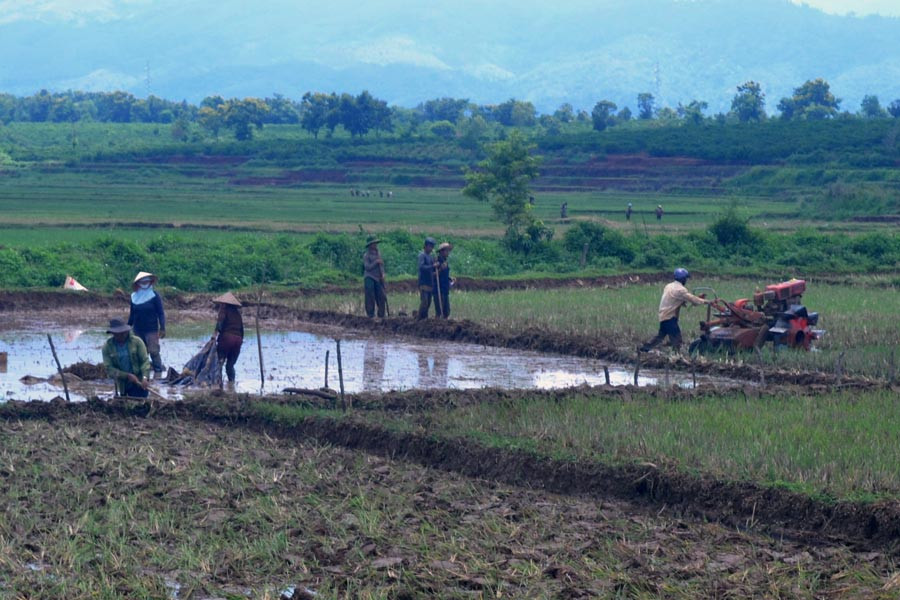  Nông dân làm đất chuẩn bị cho vụ mùa. Ảnh: Lê Nam