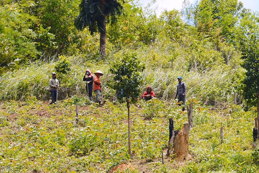 Người dân xã Hà Đông đang canh tác trên đất lâm nghiệp. Ảnh: L.A Người dân xã Hà Đông đang canh tác trên đất lâm nghiệp. Ảnh: L.A